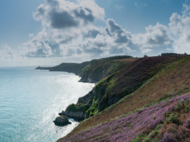 Un paysage océanique.