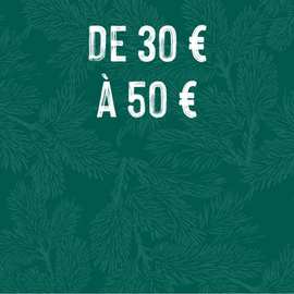 Fond végétal Noël : idées cadeaux de 30 à 50 euros