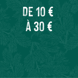 Fond végétal Noël : idées cadeaux de 10 à 30 euros