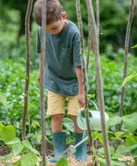 Un petit garçon qui arrose le potager