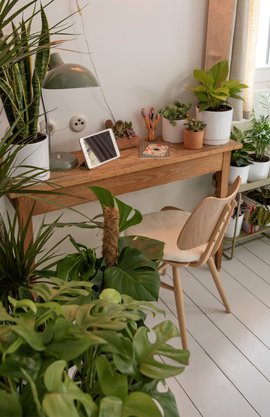 bureau chambre plantes vertes