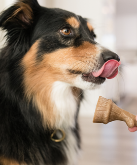 Friandises pour chien Whimzees