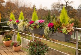 Un balcon décoré avec des jardinières d'automne