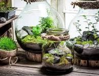terrarium