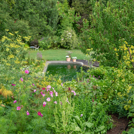 Un grand jardin fleuri avec une piscine naturelle
