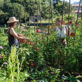 Un potager entouré de fleurs