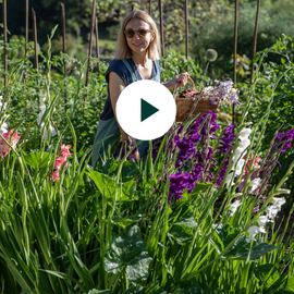 les 30 ans botanic® en vidéo