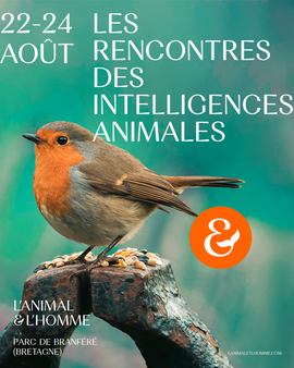Les rencontres des intelligences animales 2025