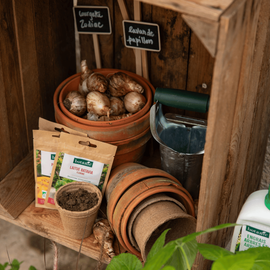 Les produits botanic pour planter ses bulbes et faire ses semis