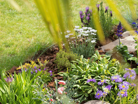 Un massif de vivaces résistantes au sec