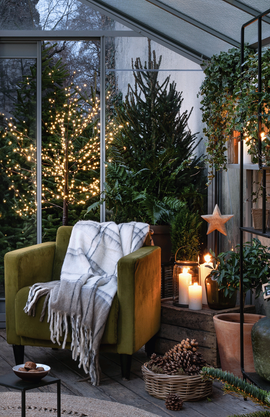 Une serre de jardin décorée pour Noël avec des sapins, guirlandes et fauteuil, plantes...