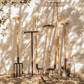 Plusieurs outils de jardin botanic en bois et métal positionnés dans une cour extérieure