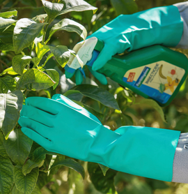 Gants de jardinage et entretien des plantes en extérieur