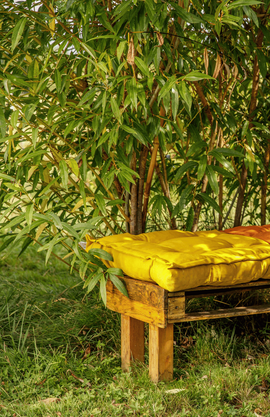 Un arbre d'ombrage qui fait de l'ombre sur une palette avec des coussins