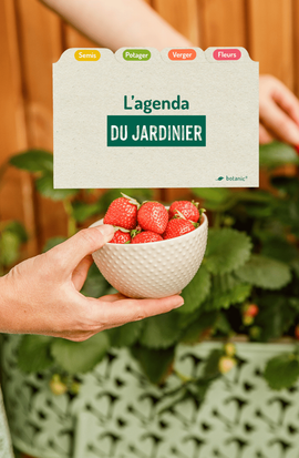 Mise en avant des calendriers et agendas botanic® pour la période du printemps