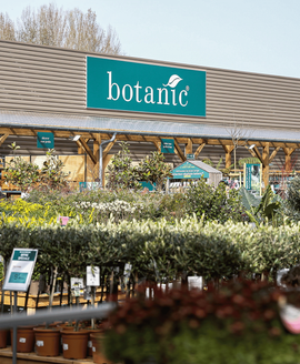 Plantes d'extérieur en magasin botanic