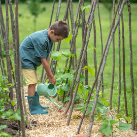 Un enfant qui arrose le potager
