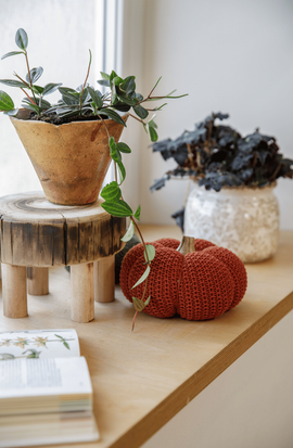 Sur un rebord de fenêtre, une décoration d'automne composée de plantes vertes et d'une citrouille décorative en tissu