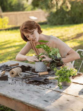 Une femme qui rempote une baby plante