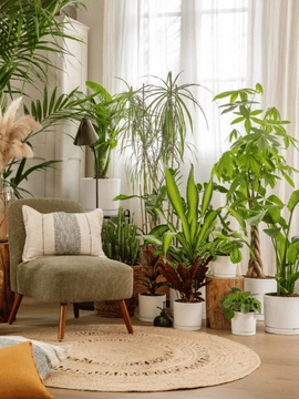 Un salon avec des végétaux, un fauteuil, un tapis, des pots et des coussins