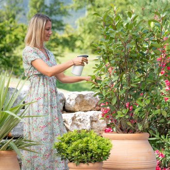 Service soigner ses plantes d'extérieur avec des solutions naturelles