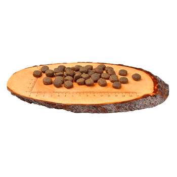 Visuel 1 du produit Croquettes pour chien Carnilove Lamb & Wild boar for Adult - 1,5 kg