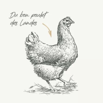 Visuel 1 du produit Croquettes pour chat adulte stérilisé au poulet sans céréales Bab'in Signature - 6 kg
