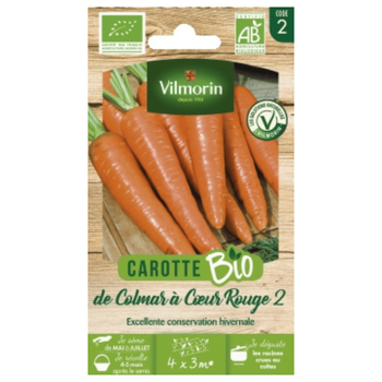 Visuel 1 du produit Carotte de Colmar à Cœur rouge 2 Bio - graines à semer