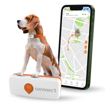 Visuel 1 du produit Traceur GPS pour chien coloris blanc Weenect - fonctionne avec abonnement