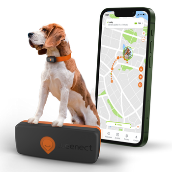 Visuel 1 du produit Traceur GPS pour chien coloris noir Weenect - fonctionne avec abonnement
