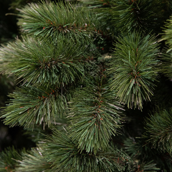 Visuel 1 du produit Sapin de Noël artificiel coloris vert Camden Slim