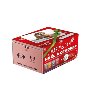 Visuel 1 du produit Coffret de Noël multipack pour chien Marly & Dan - 290g