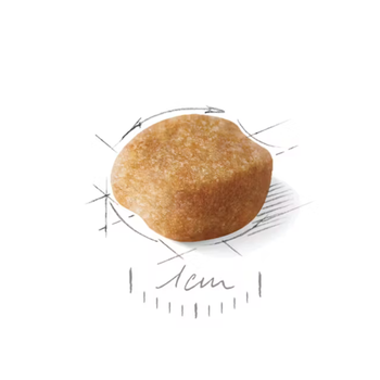 Visuel 1 du produit Croquettes pour chien adulte Yorkshire Terrier Royal Canin - 3 kg