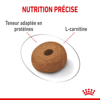 Visuel 1 du produit Croquettes pour chien adulte de grande taille en surpoids Royal Canin Maxi Light Weight Care - 12 kg