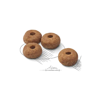 Visuel 1 du produit Croquettes pour chien adulte stérilisé de taille moyenne Royal Canin Medium Sterilised - 3 kg