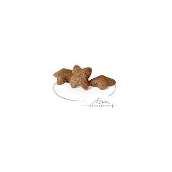 Visuel 1 du produit Croquette pour chien adulte de petite taille Royal Canin - 8 kg
