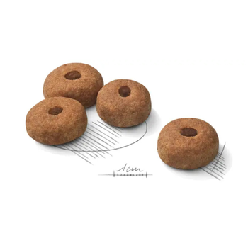 Visuel 1 du produit Croquette pour chien stérilisé de grande taille Royal Canin - 12 kg