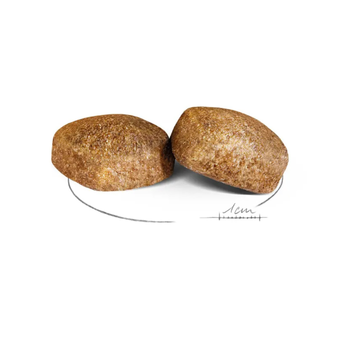 Visuel 1 du produit Croquettes pour chien adulte de grande taille Royal Canin Giant Adult - 15 kg