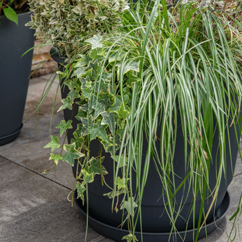 Visuel 1 du produit Pot en matière recyclée coloris anthracite Poetic Joy 25 - Ø 24,6 x H 20,3 cm