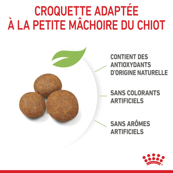 Visuel 1 du produit Croquettes pour chiot Royal Canin Giant - 15 kg