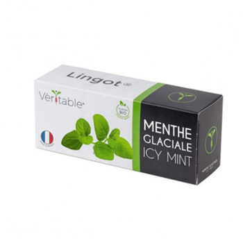 Visuel 1 du produit Lingot® Menthe glaciale bio pour potager Véritable