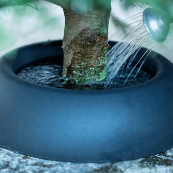 Visuel 1 du produit Support à réserve d’eau pour sapin coupé FRESCHER TREE® - Ø 41cm - pour un sapin de 175 à 250 cm de haut