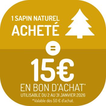 Visuel 1 du produit Sapin naturel de table sans pied Nobilis coloris vert – 40 cm