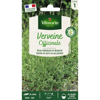 Visuel 1 du produit Verveine officinale Vilmorin - graines à semer