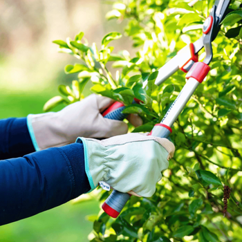 Visuel 2 du produit Gants de jardinage Frêne en cuir coloris vert