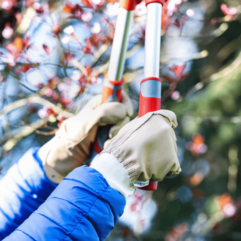 Visuel 2 du produit Gants de jardinage Erable coloris beige en cuir