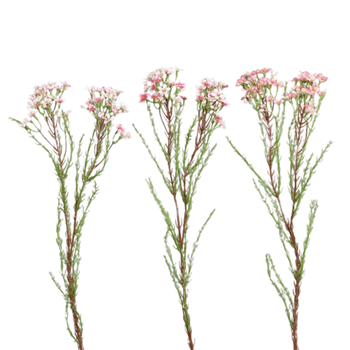 Visuel 1 du produit Fleur de cire artificielle rose - 60 cm