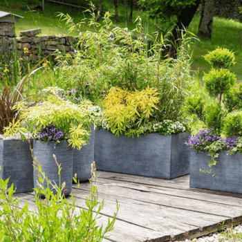 Visuel 1 du produit Terreau arbres et arbustes botanic® - 20 L