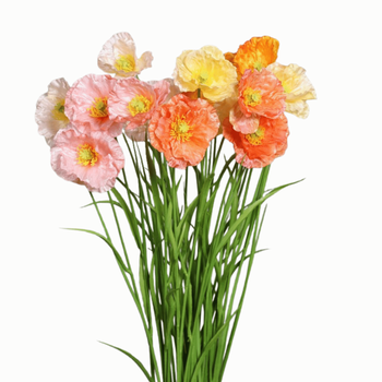 Visuel 1 du produit Tige de pavot artificiel 3 fleurs colorées et herbe - 68 cm