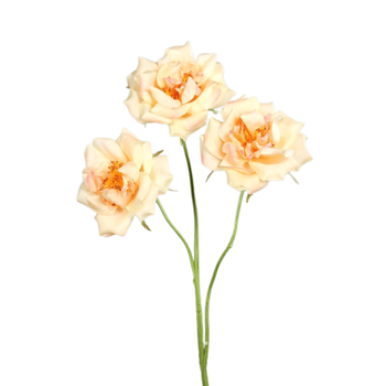 Visuel 1 du produit Branche de rose artificielle pêche à 3 fleurs - 65 cm